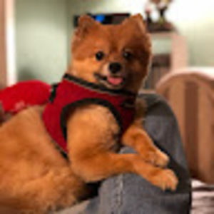 Meet your Posher, Rae